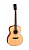 Гитара акустическая Parkwood P620 с кейсом