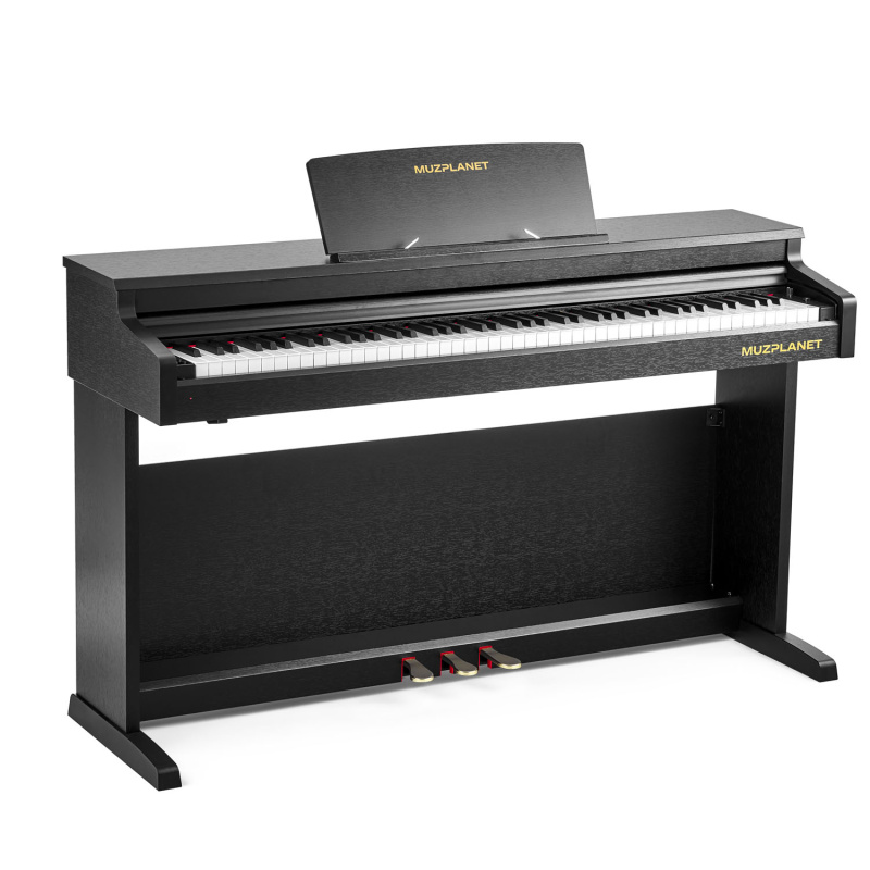 Цифровое пианино Muzplanet YDP-145B