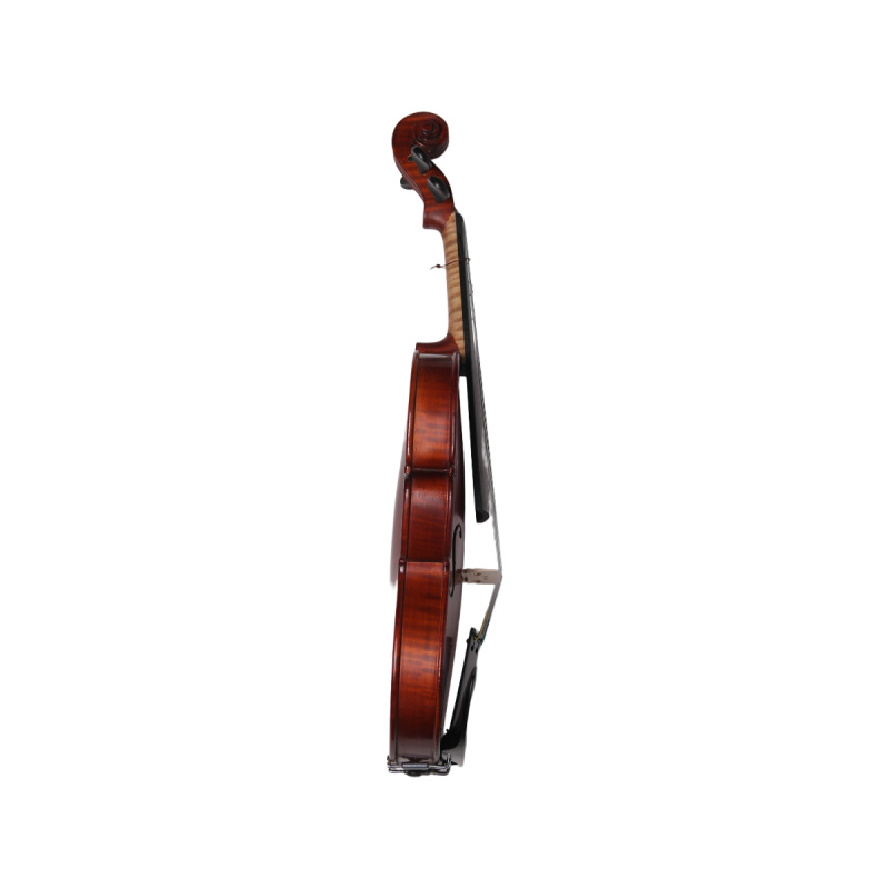 Скрипка Gliga Gems 1 AW-V012 1/2