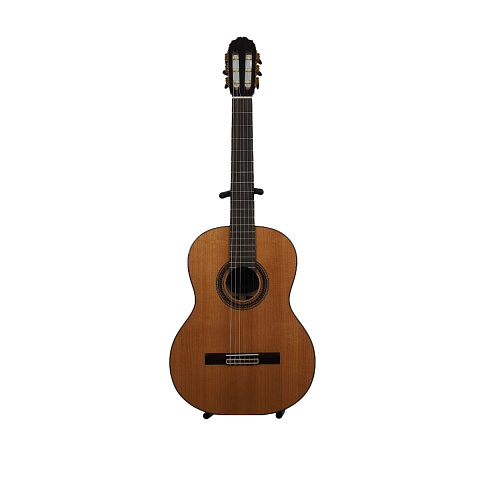 Гитара классическая Tarrega T5 Cedar+Rosewood 4/4