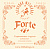 Струны для скрипки Господин музыкант Forte VN327 (4 шт)
