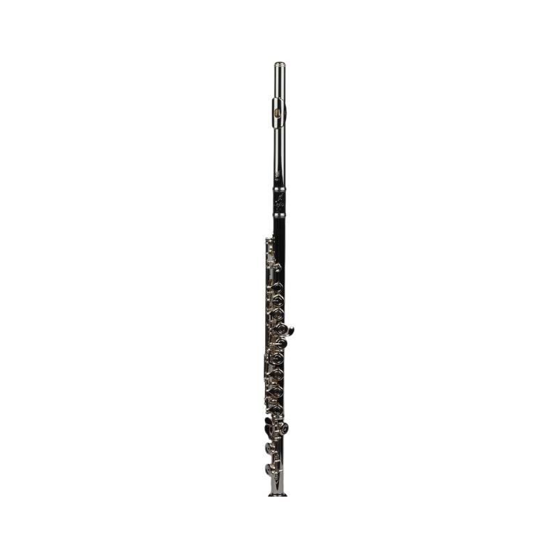 Флейта Orfeo Aria FL-301-ROE, Ми-механика, открытые клапаны