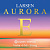 Струна для скрипки Larsen Aurora Ми (E) Hard