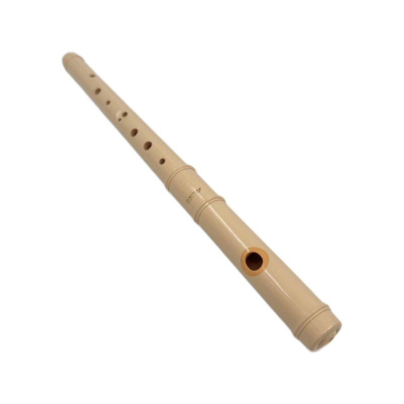Флейта Aulos Pipit C-21 пластиковая
