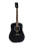 Гитара акустическая Cort Standard Series AD810-BKS