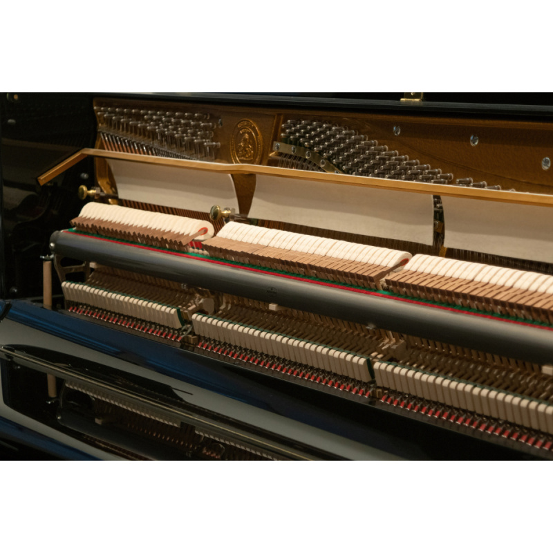 Пианино C. Bechstein Academy A 1 (BU) черное, полированное, цифровая система PianoDisc IQ HD Пианино C. Bechstein Academy A 1 (BU) черное, полированное, цифровая система PianoDisc IQ HD